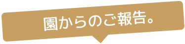 園からのご報告